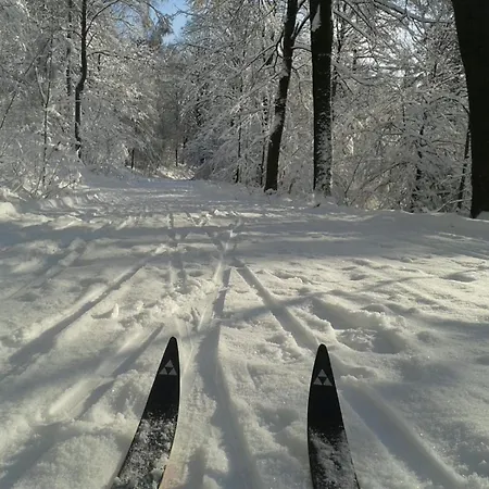 Daire Attendorner Burgblick *