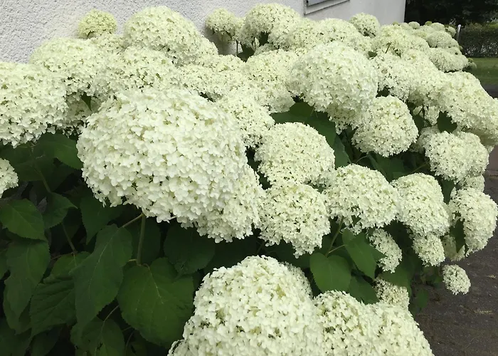 Appartement Attendorner Burgblick Attendorn