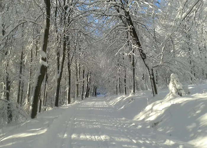 Attendorner Burgblick Apartament